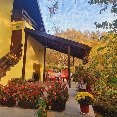 Vikendica Alisa Holiday home *