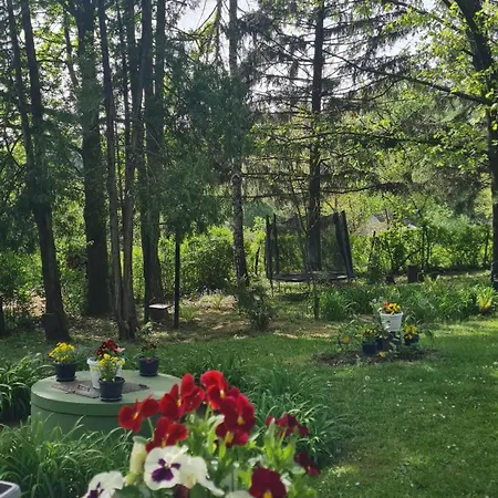 Vikendica Alisa Holiday home